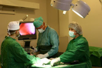 professor Pavluchenko