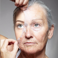 Какой белок играет главную роль в старении кожи?